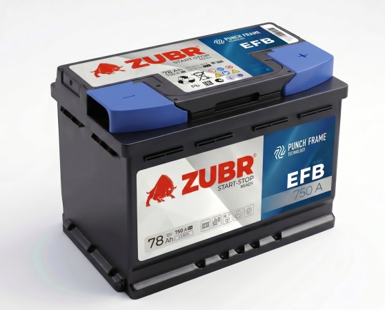 78 EFB ZUBR7